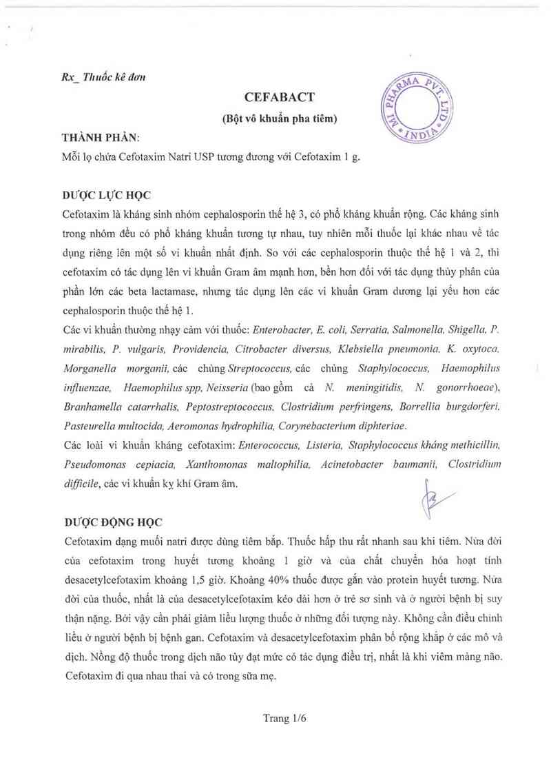 thông tin, cách dùng, giá thuốc Cefabact - ảnh 3