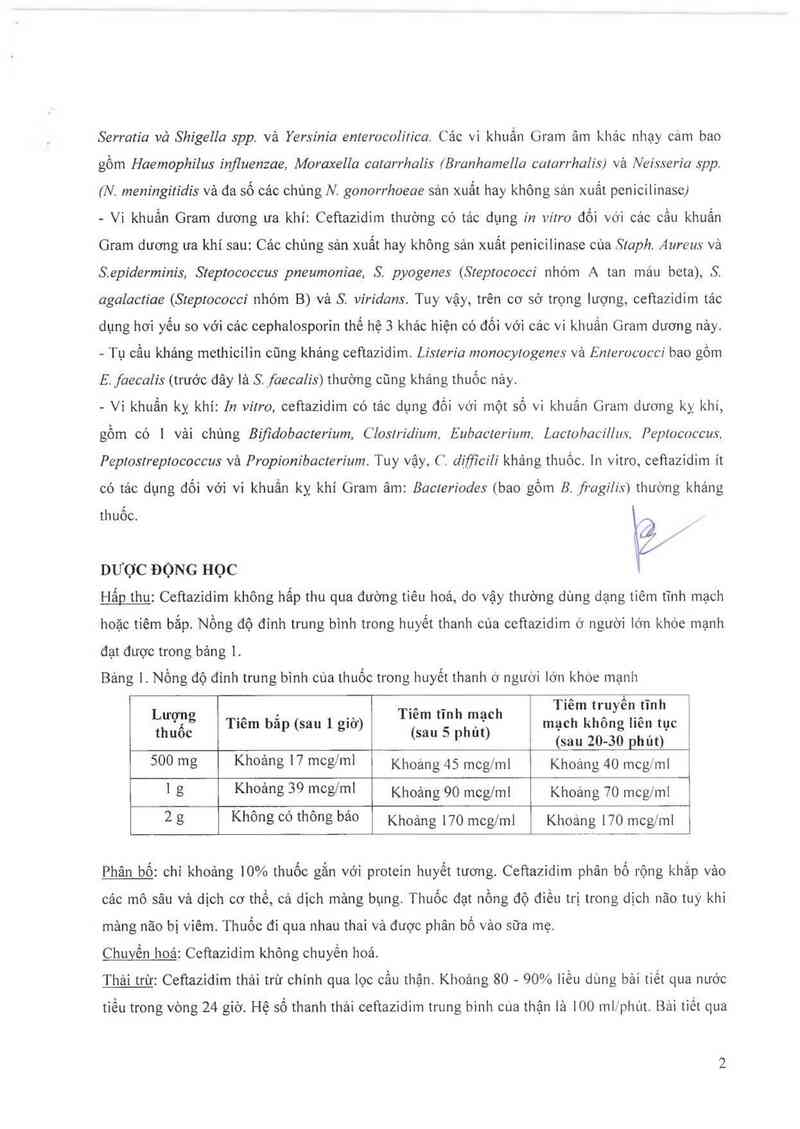 thông tin, cách dùng, giá thuốc Ceftidin 1g - ảnh 3