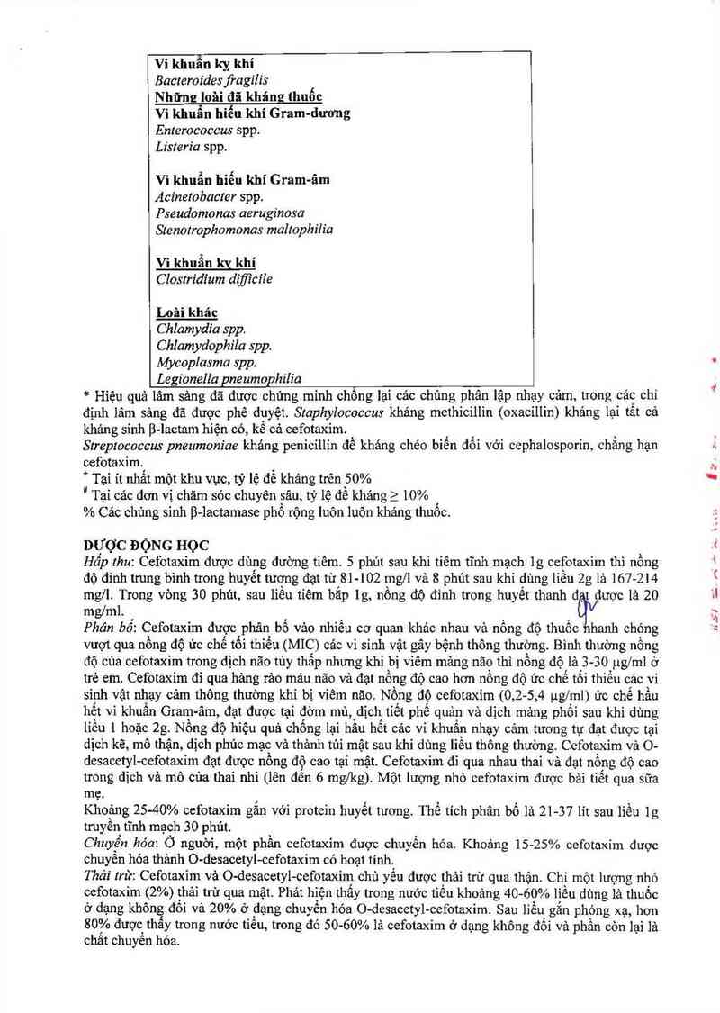 thông tin, cách dùng, giá thuốc Cefotaxim Stragen 1g - ảnh 3