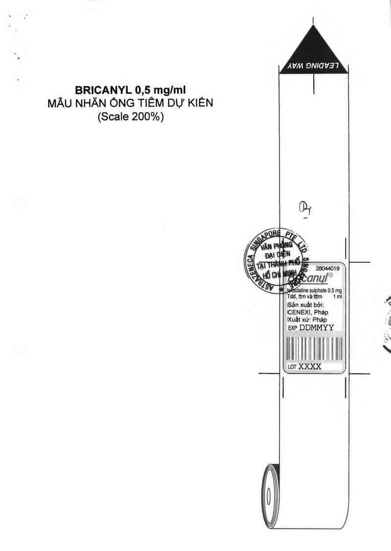 thông tin, cách dùng, giá thuốc Bricanyl - ảnh 2