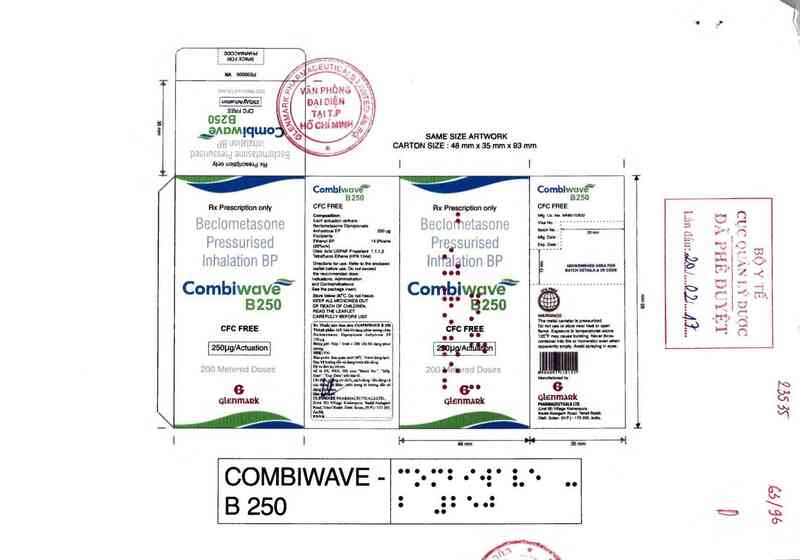 thông tin, cách dùng, giá thuốc Combiwave B 250 - ảnh 0