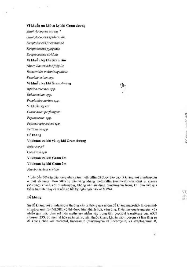 thông tin, cách dùng, giá thuốc Clindamycin - ảnh 3