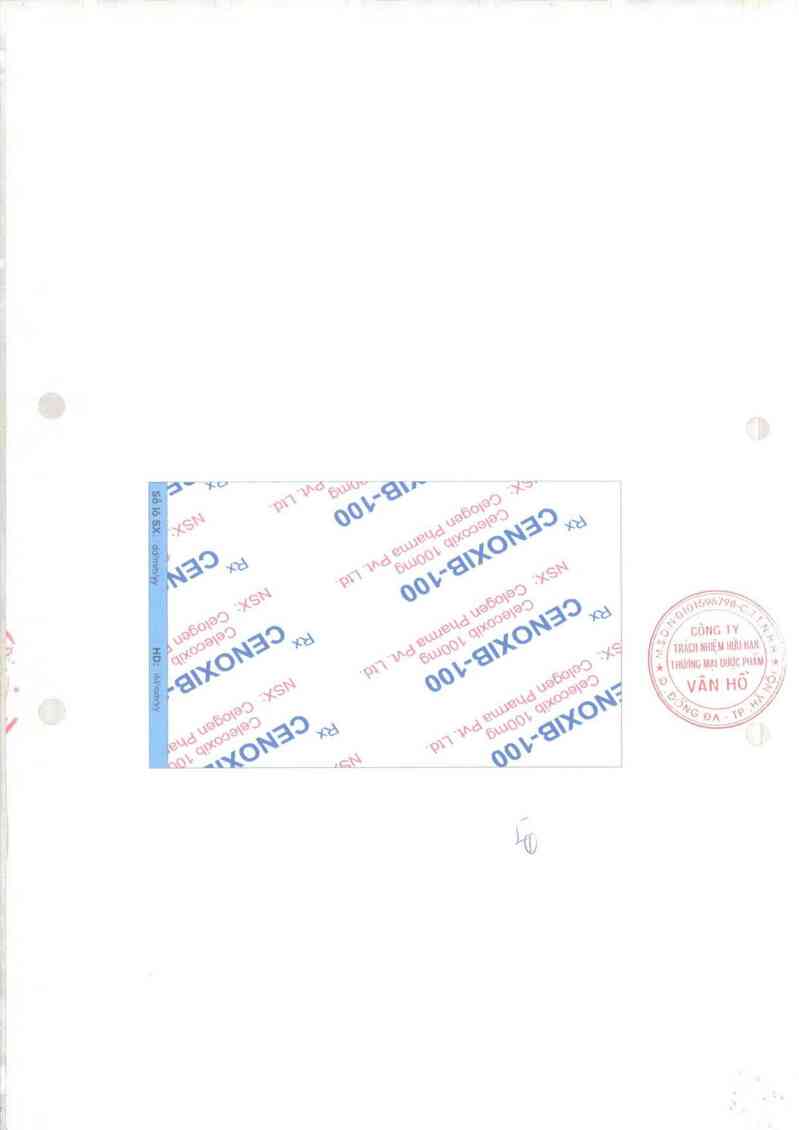 thông tin, cách dùng, giá thuốc Cenoxib 100 - ảnh 1