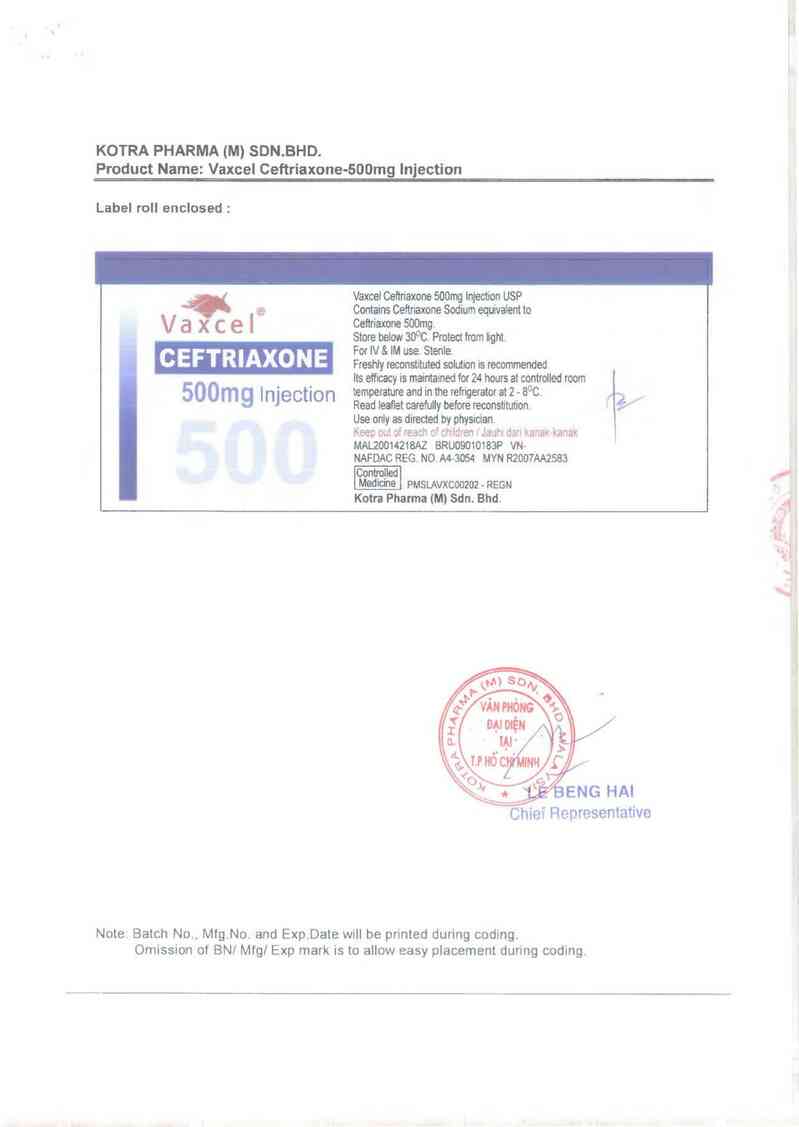 thông tin, cách dùng, giá thuốc Vaxcel Ceftriaxone-500mg Injection - ảnh 1