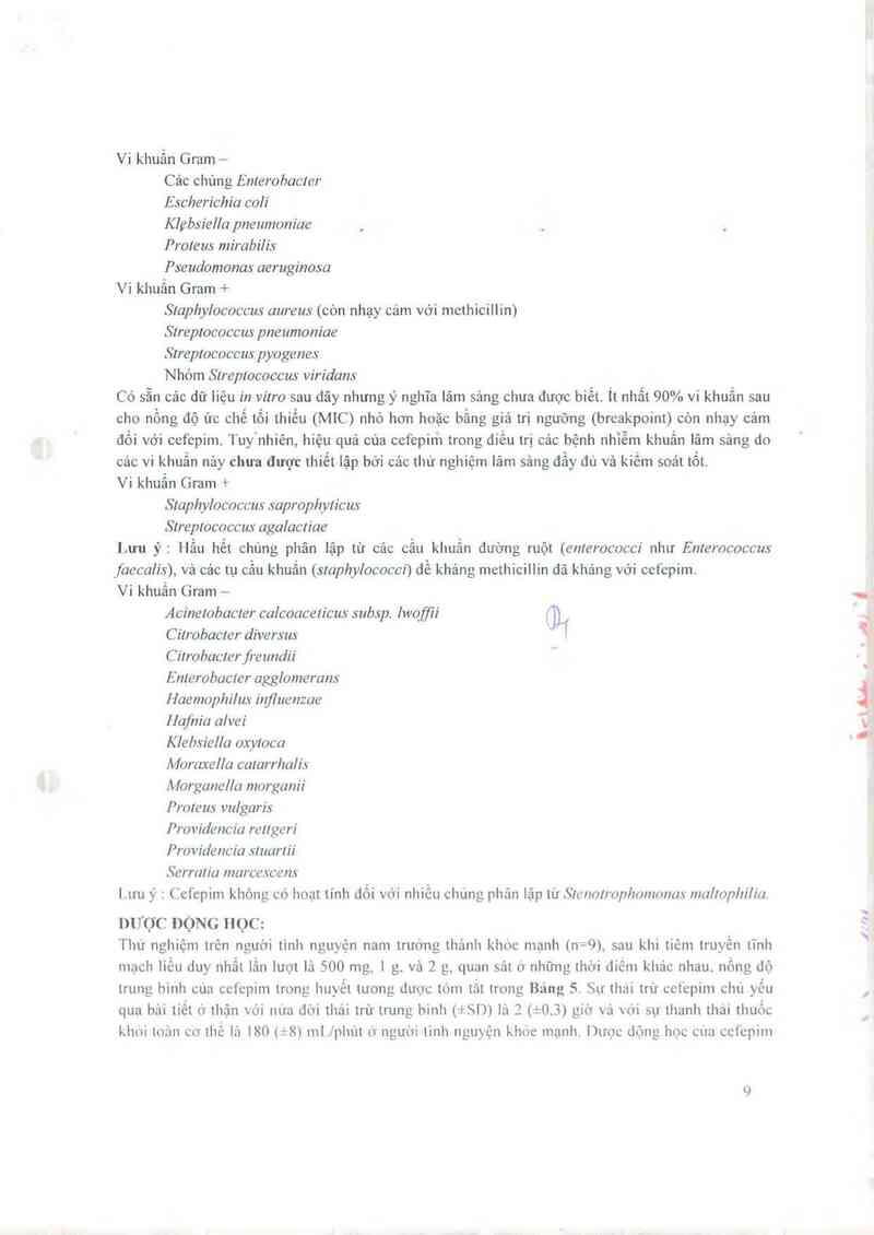 thông tin, cách dùng, giá thuốc Necpime - ảnh 9