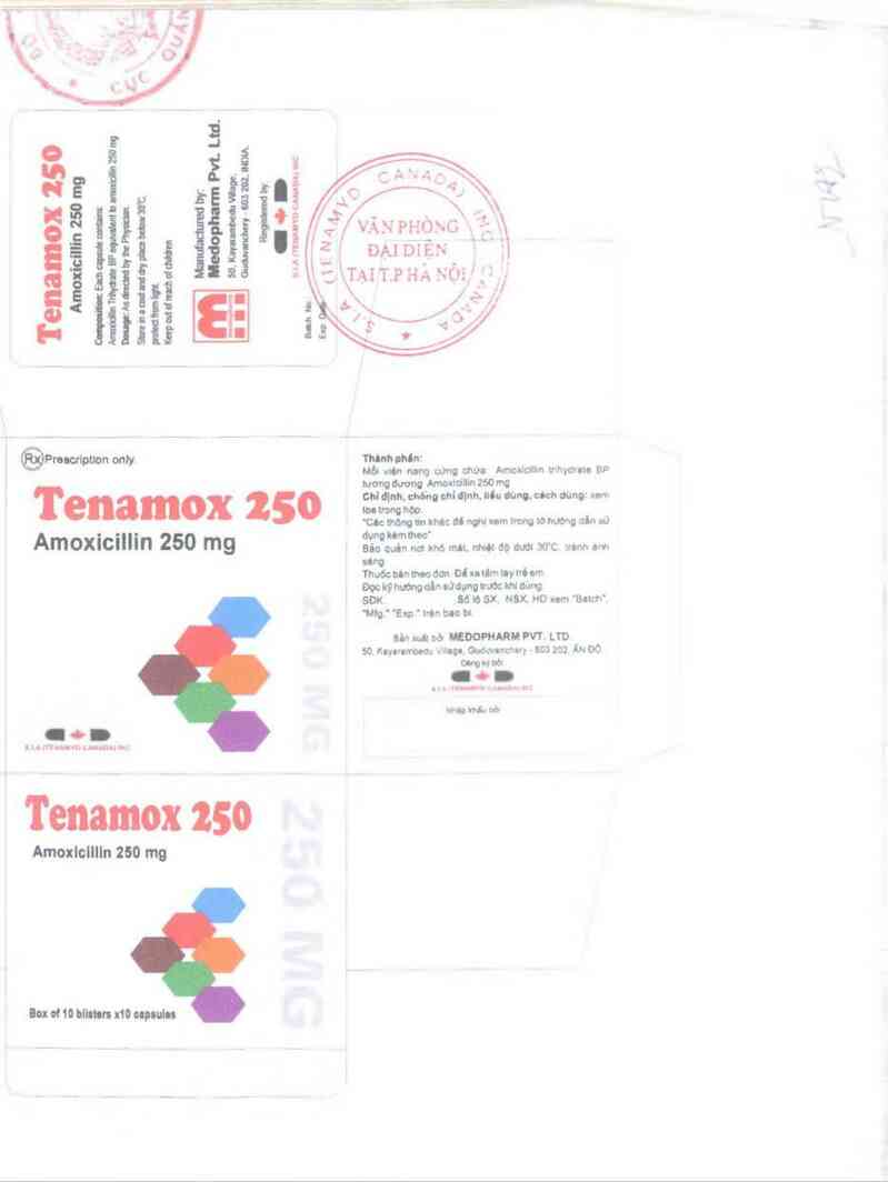 thông tin, cách dùng, giá thuốc Tenamox 250 - ảnh 1