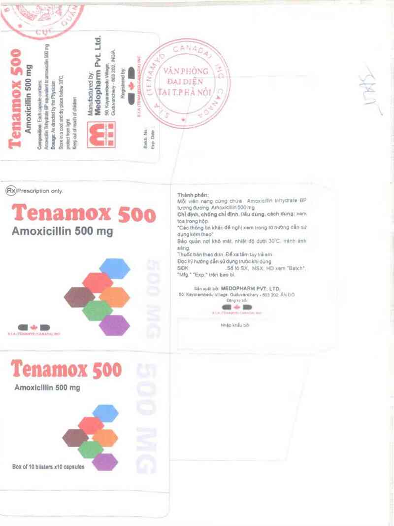 thông tin, cách dùng, giá thuốc Tenamox 500 - ảnh 1