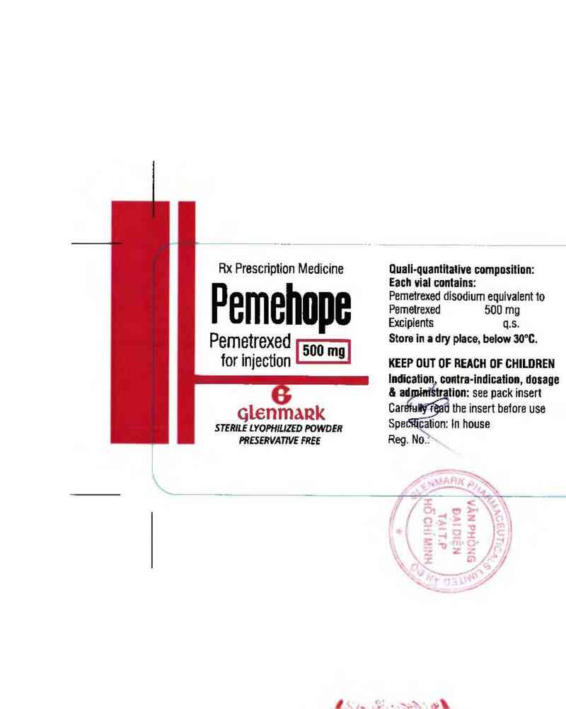 thông tin, cách dùng, giá thuốc Pemehope 500 - ảnh 1