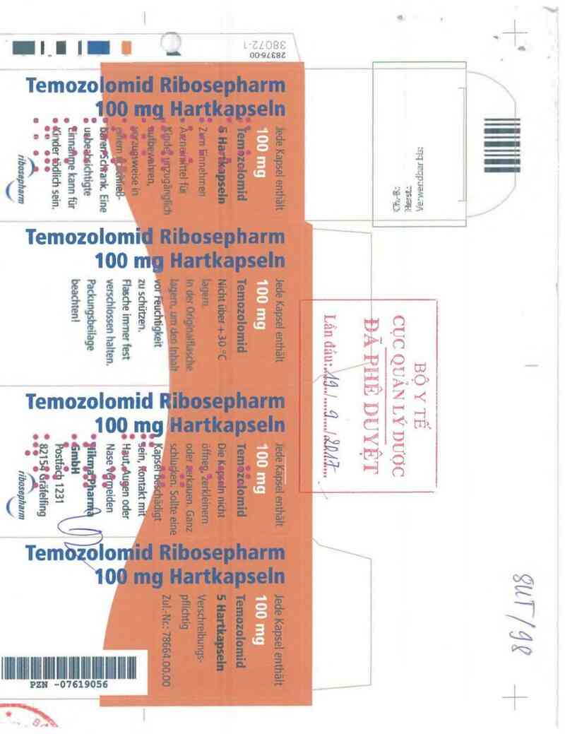 thông tin, cách dùng, giá thuốc Temozolimid Ribosepharm 100mg - ảnh 1