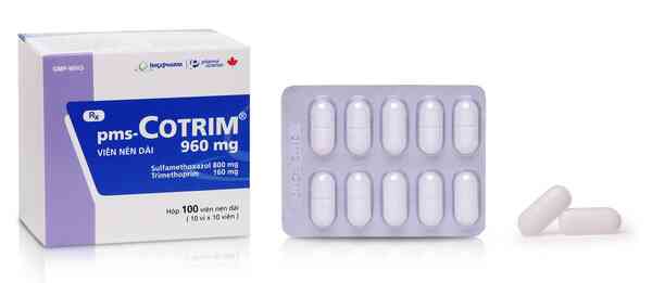 pms - Cotrim 960 mg