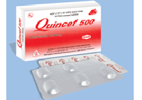 Quincef 500mg