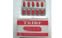 TRIBF