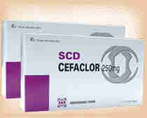 SCD Cefaclor 250mg