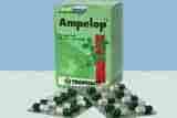 Ampelop