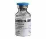 Ceftazidime 1g