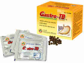 Gastro 6g